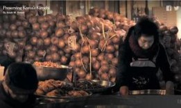 内行人爆料韩国泡菜视频,内行人带你走进传统发酵美食的世界